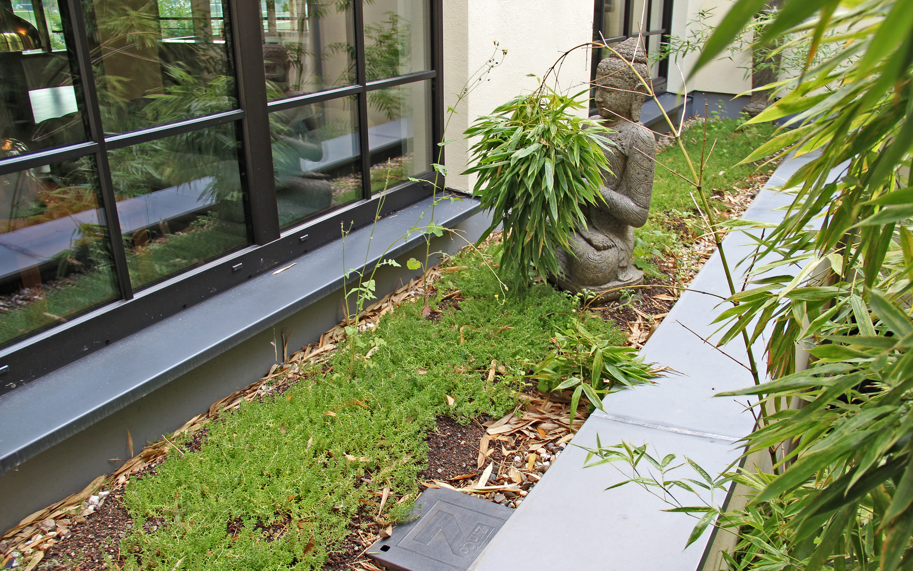 Bambus und Buddah-Figur vor Fenstern 