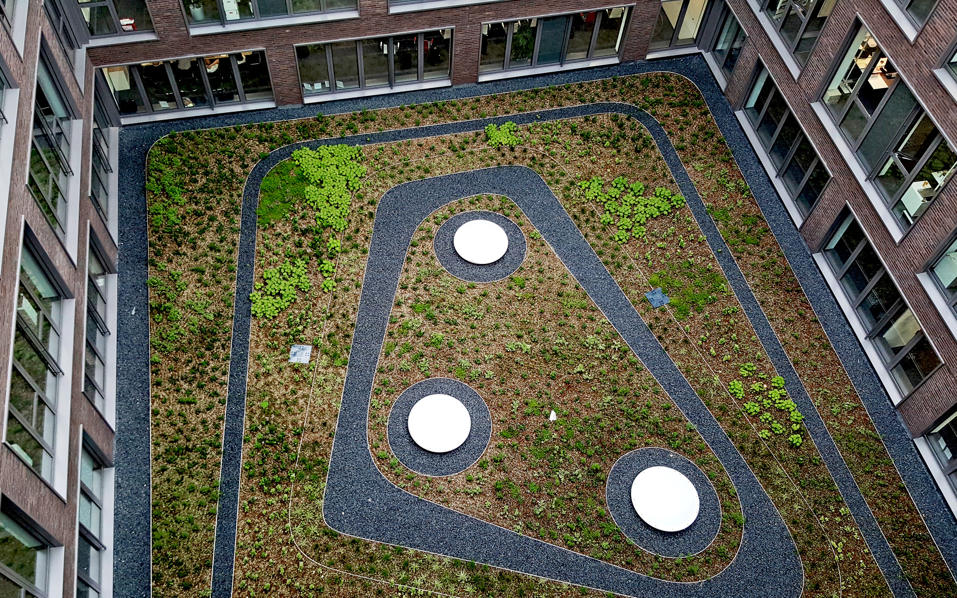 Sicht von oben auf einen begrünten Innenhof mit Solitärpflanzen und Wegen