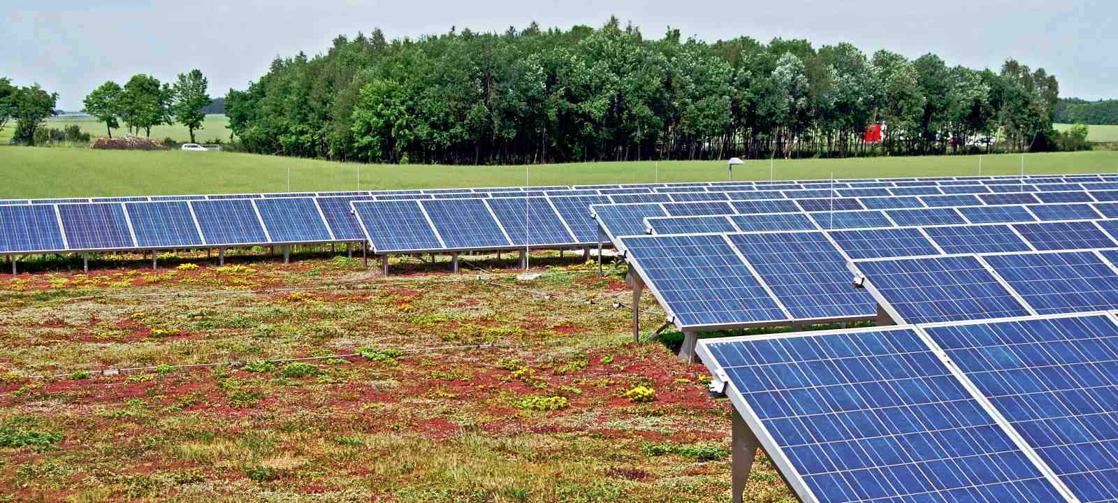 Extensive Dachbegrünung mit Photovoltaik