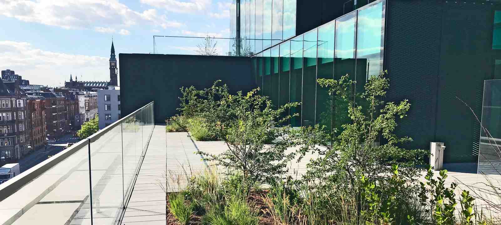 Dachterrasse mit Belag und Pflanzbereichen