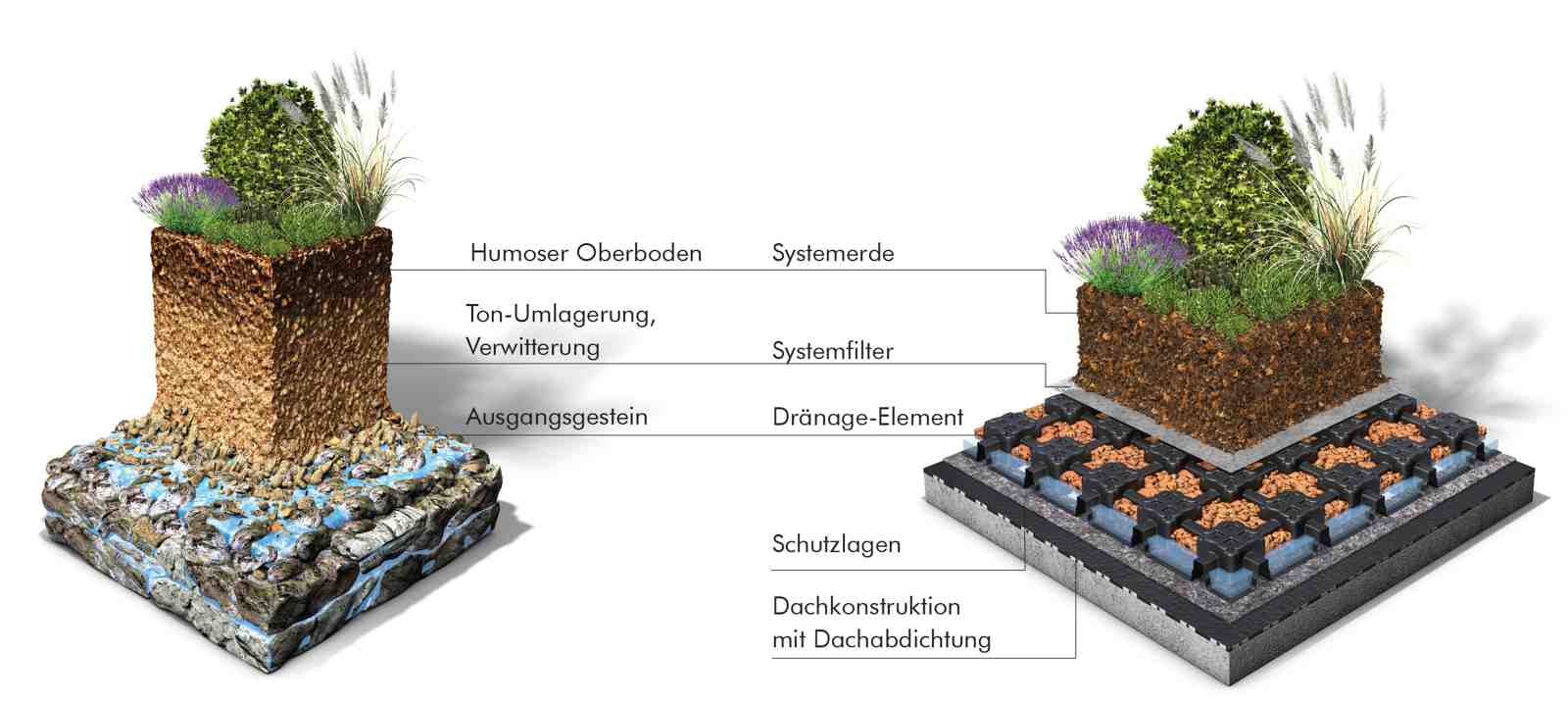 Grafik Gründach