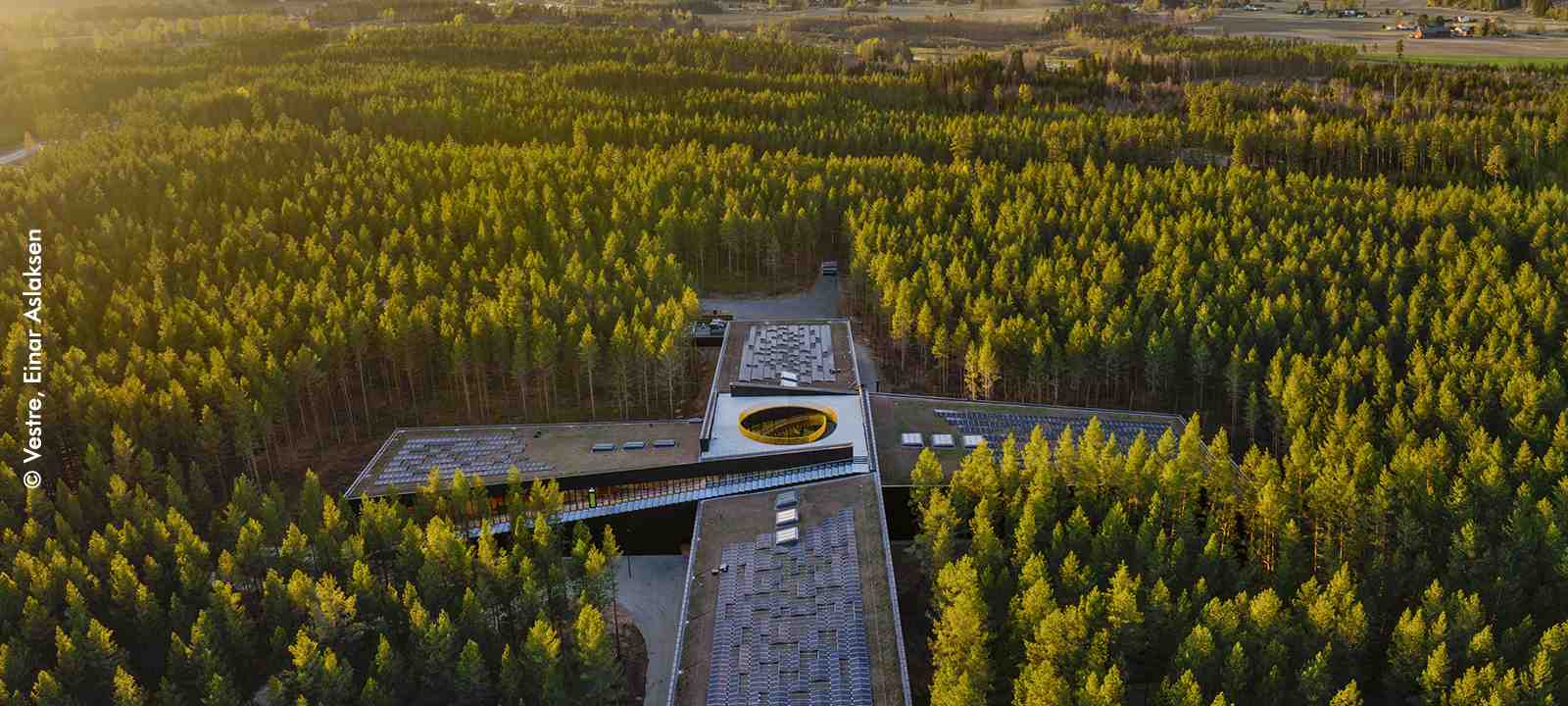 Gebäude mit Dachbegrünung umgeben von Wald