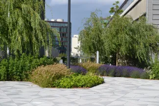 Der Granitbelag ist aufwändig in einem Harlekin-Muster verlegt und bildet die Umrisslinien der üppig bewachsenen Beete. Gehbelag und üppige Begrünung mit Kleinbäumen und Lavendel