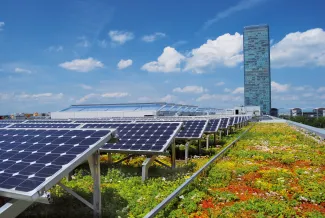 Die Dachbegrünung auf dem Technologiezentrum in München steigert die Effizienz der Solaranlage dank Kühlung der Umgebungstemperatur. Extensive Dachbegrünung und Photovoltaik auf dem Dach