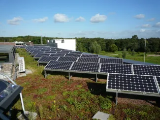 Dachbegrünung in Kombination mit Photovoltaik