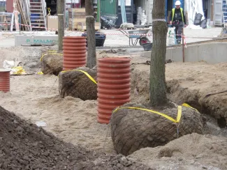 Die Wurzelballen der Kleinbäume bekommen fachgerechte Verankerung als Schutz vor Windsog. Verankerung der Bäume