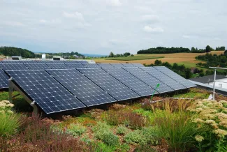 Extensive Dachbegrünung und Solar