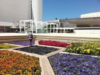 Blühende Blumenbeete zwischen Holzstegen