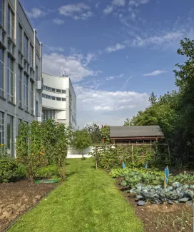 Technoseum in Mannheim (Deutschland), ZinCo Systemaufbau „Urban Farming“. Gemüsegarten auf dem Dach