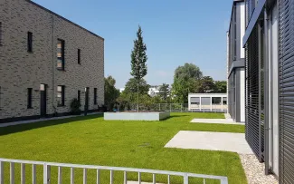 Rasenfläche mit Baum auf dem Dach, umgeben von Gebäuden