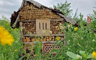 Insektenhotel umgeben von Vegetation