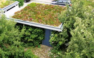 Eine Garagenbegrünung verlängert die Dachlebensdauer und nützt der Natur, ganz besonders mit der „Bienenweide“. Begrüntes Gartenhaus