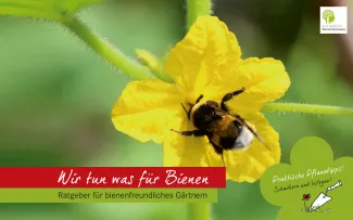 „Deutschland summt! Wir tun was für Bienen“ ist eine Initiative der Stiftung für Mensch und Umwelt - und ist für jedermann einfach umzusetzen mit der ZinCo Garagenbegrünung für Bienen. „Deutschland summt! Wir tun was für Bienen“ Broschüre