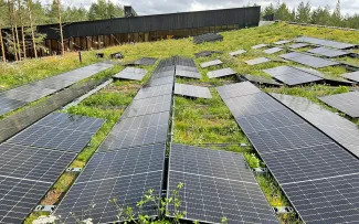 Gründach mit Solaranlage