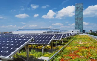 Gründach mit Photovoltaik