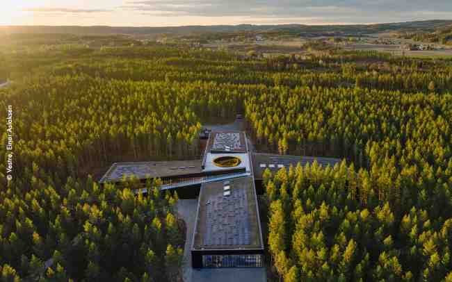 Gebäude mit Dachbegrünung umgeben von Wald